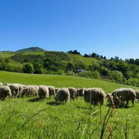 Baigura By Interhome Louhossoa