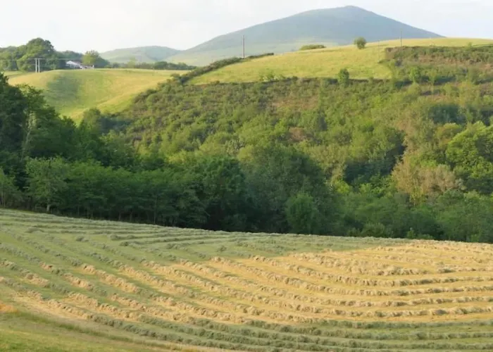 Baigura By Interhome *