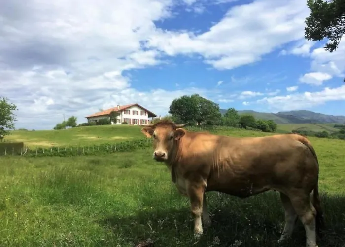 Baigura By Interhome * Louhossoa