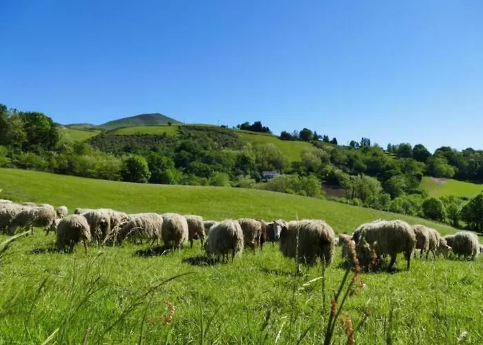 Baigura By Interhome Louhossoa