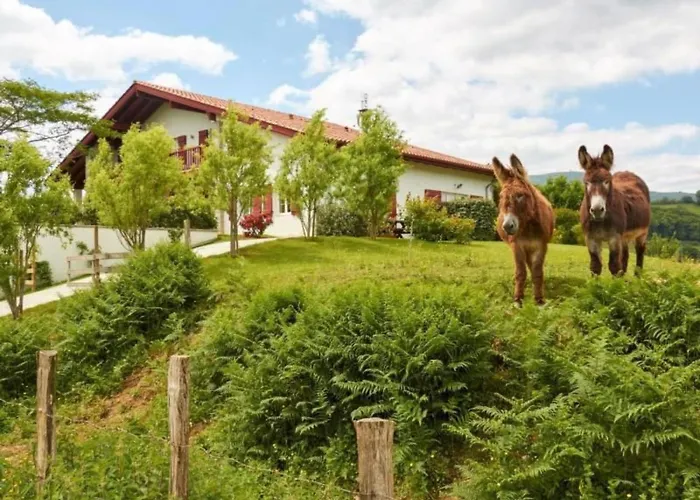 Baigura By Interhome Appartement