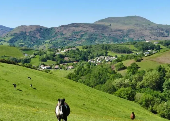 Baigura By Interhome Louhossoa